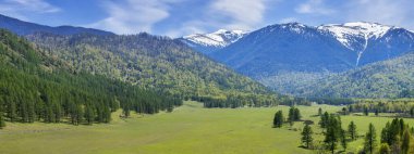 Bahar günü dağ vadisinin panoramik manzarası