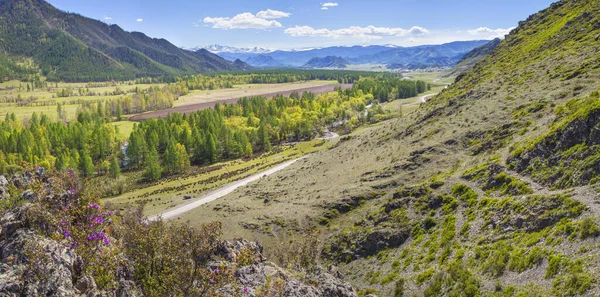 Country road runs through a mountain valley, sunny spring day