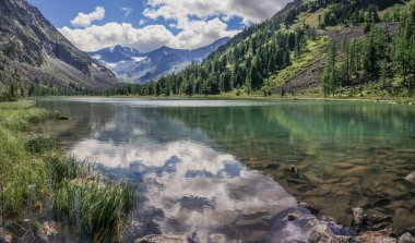 Altai dağlarındaki vahşi göl. Yaz günü, suya yansıdı..