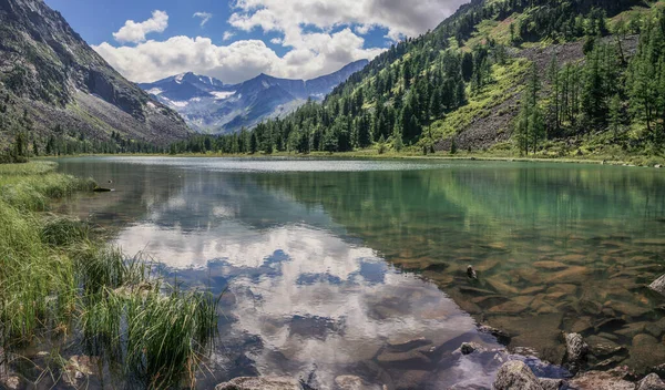 Lago Selvagem Nas Montanhas Altai Dia Verão Refletido Água — Fotografia de Stock