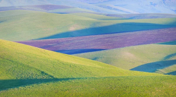 Zöld Dombok Szántóföld Tavaszi Vidéki Táj — Stock Fotó