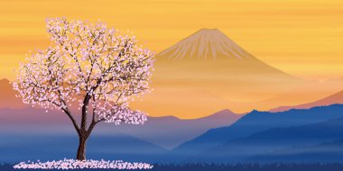 Japon kiraz çiçekleri, sakura. Fuji Dağı 'nın arkasındaki kiraz ağacı. Vektör illüstrasyonu, bahar teması