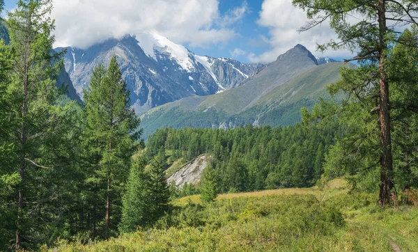 Berglandschaft Sommerliches Grün Sonniger Tag — Stockfoto