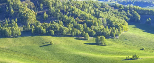 Tavaszi Vidéki Kilátás Zöld Mezők Erdők — Stock Fotó