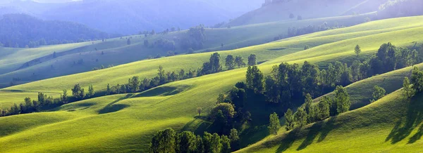 山坡上的田野 乡村风景 — 图库照片#