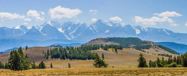 Blick Auf Den Kamm Altai Gebirge Sommersonniger Tag — Stockfoto
