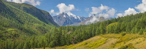 Panoramablick Auf Ein Bergtal Sommerreise Sonniger Tag Wald Schneebedeckte Gipfel — Stockfoto