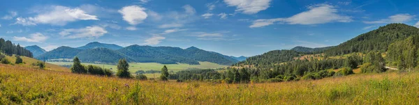 Panoramiczny Widok Górską Dolinę Łąka Pierwszym Planie Błękitne Niebo Chmurami — Zdjęcie stockowe