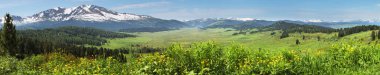 Geniş panoramik manzara, dağlarda yazın başlangıcı. Yeşil ormanlar ve çayırlar, karlı tepeler ve mavi gökyüzü. Altay dağları. Bulanık arkaplan.