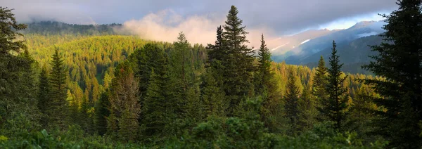 Sibirische Gebirgstaiga Wolkenlandschaft Sonnenuntergangshimmel Panorama Reisen Den Bergen Trekking — Stockfoto