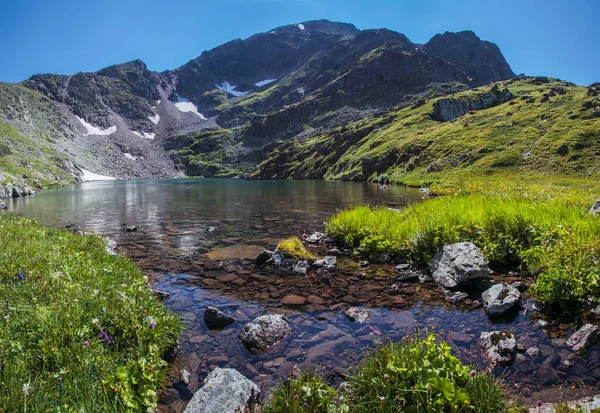 Schilderachtig Bergmeer Zomergroen Daglicht — Stockfoto