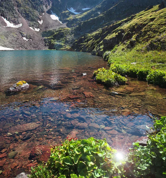 夏天的野山湖里 阳光反射在水面上 — 图库照片