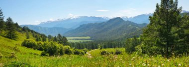 Geçitten dağ vadisinin panoramik manzarası, Altai
