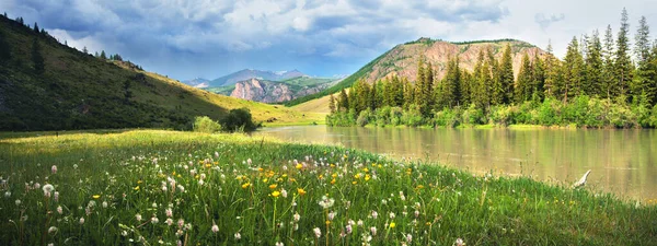 Louka Řece Pozadí Hor Altai — Stock fotografie