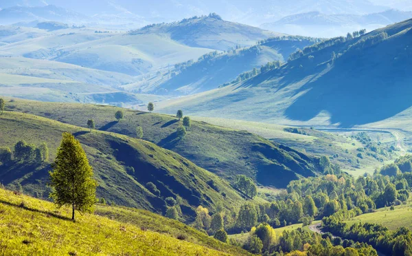 Горная Долина Летнее Утро Зеленые Холмы Луга — стоковое фото