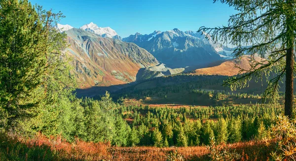 Ősz Hegyi Völgyben Reggeli Fény Panorámás Kilátás Altai — Stock Fotó