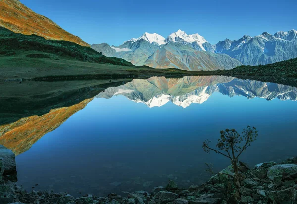 野山湖 风景如画 阿尔泰 — 图库照片#