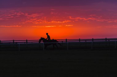 Atları biniciler kontrast
