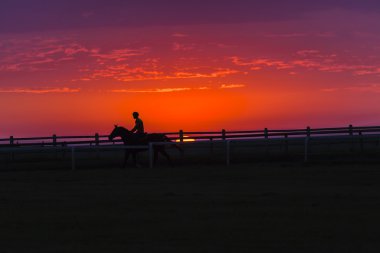 Atları biniciler kontrast