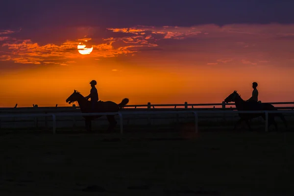 Cavalos Cavaleiros Silhueta — Fotografia de Stock