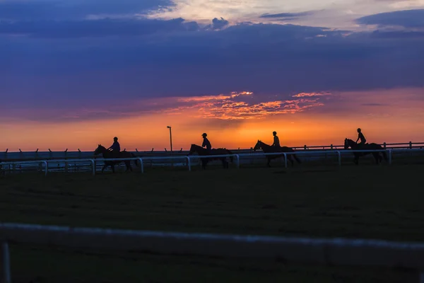 Horses Riders Silhouetted — Stock Photo, Image