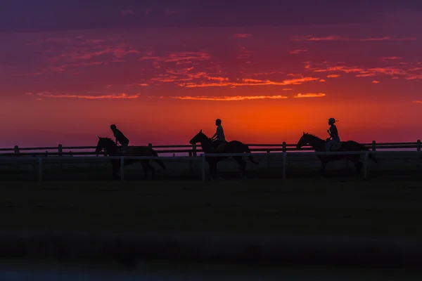 Pferde Reiter Morgendämmerung Silhouette — Stockfoto