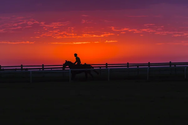 Pferd Reiter Morgendämmerung Silhouette — Stockfoto