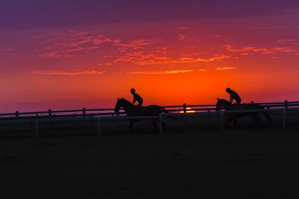 Dawn jezdci koně siluetu — Stock fotografie