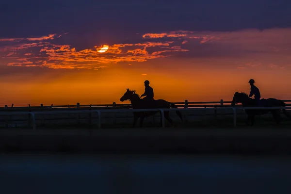 Horses Riders Silhouetted — Stock Photo, Image