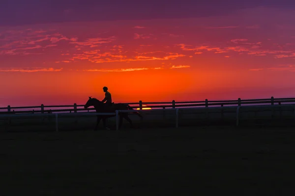 Pferd Reiter Morgendämmerung Silhouette — Stockfoto