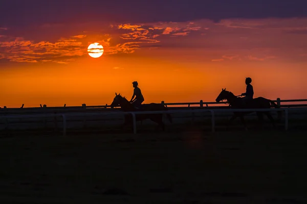 Horses Riders Silhouetted — Stock Photo, Image