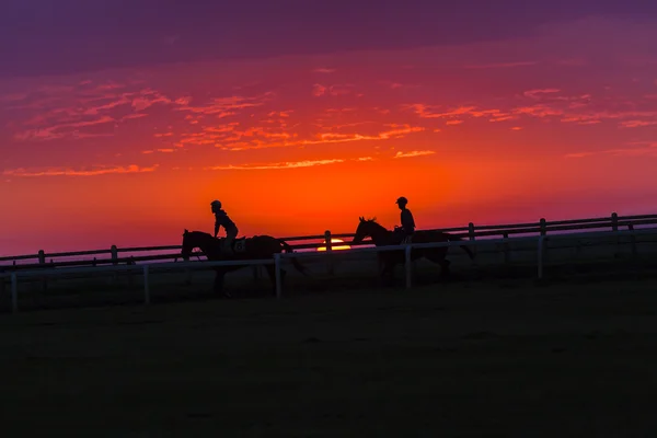 Pferde Reiter Morgendämmerung Silhouette — Stockfoto