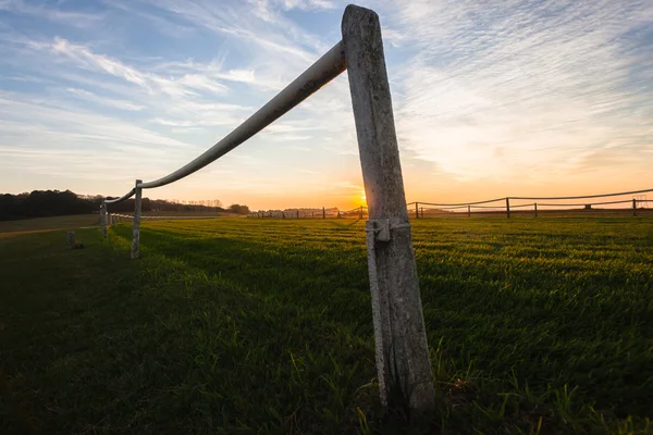 Race Horse Track Paesaggio — Foto Stock