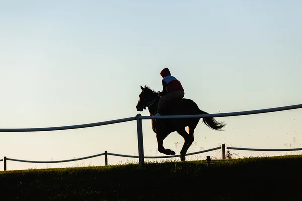 Závodní kůň jezdec siluetu — Stock fotografie