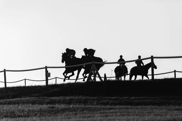 Ras hästar Riders svart vit Silhouetted — Stockfoto