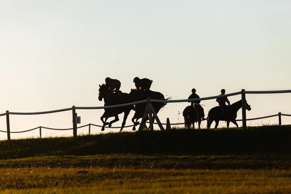 Race Horses Riders Silhouetted Track — Fotografie, imagine de stoc