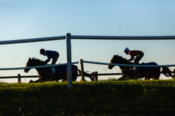 Corrida Cavalos Cavaleiros Silhueta Correndo — Fotografia de Stock