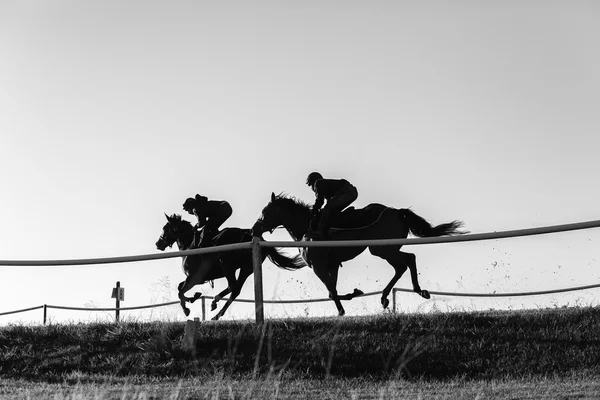 Závodní koně jezdců černá bílá — Stock fotografie