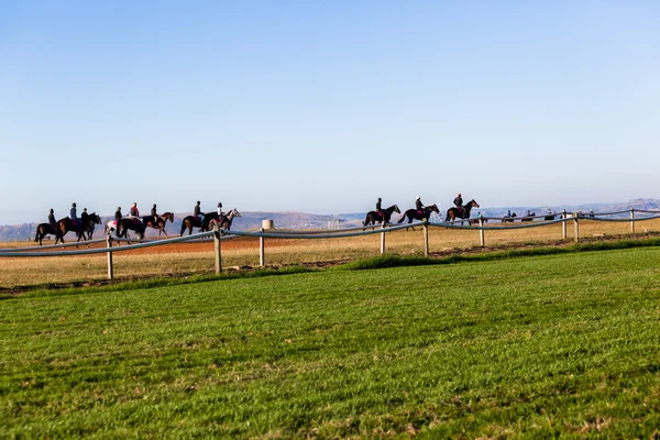 Závodní koně jezdců krajina — Stock fotografie