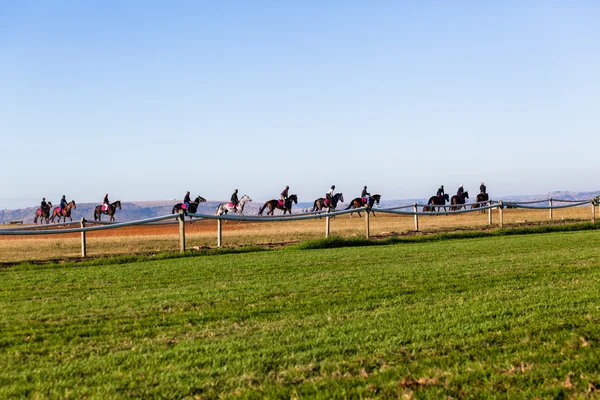 Corrida Cavalos Cavaleiros Paisagem — Fotografia de Stock