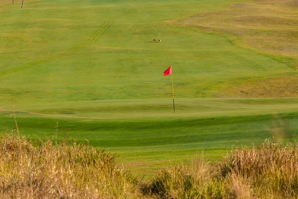 Golf zöld zászlót hajóút — Stock Fotó