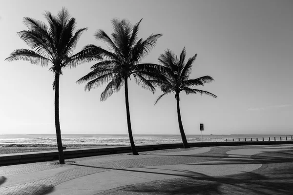 Plážová promenáda černá bílá Stock Snímky