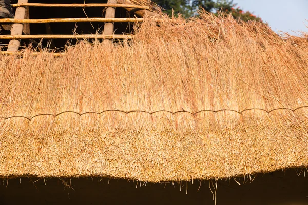 Telhado Grama Thatching Construção — Fotografia de Stock