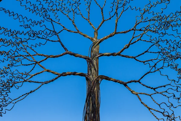 Wire Tree Branches — Stock Photo, Image