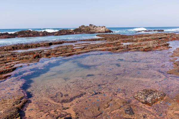 Piscinas de marea de agua de mar costera rocosa — Foto de Stock