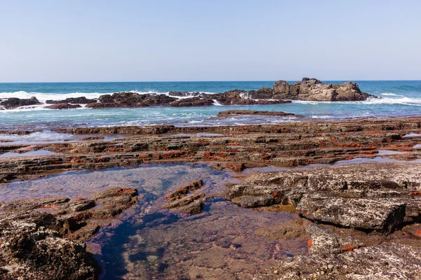 Piscinas de marea de agua de mar costera rocosa — Foto de Stock