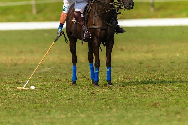 Polo Players Action — Stock Photo, Image