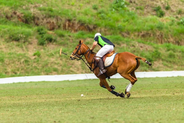 Jugadores de Polo Acción — Foto de Stock