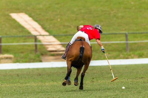 Jeu de Polo Joueur Cheval Action — Photo