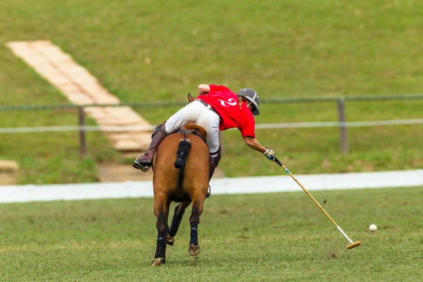 Polo Player Horse Game Action Stock Image